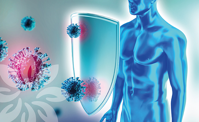 Negativa de Ipilimumabe (Yervoy®): Liminar